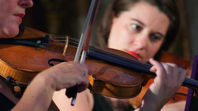 Violon Pascal Bernardon 2bdiga Dnle Unsplash